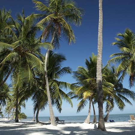 The Moorings Village Islamorada Exterior foto