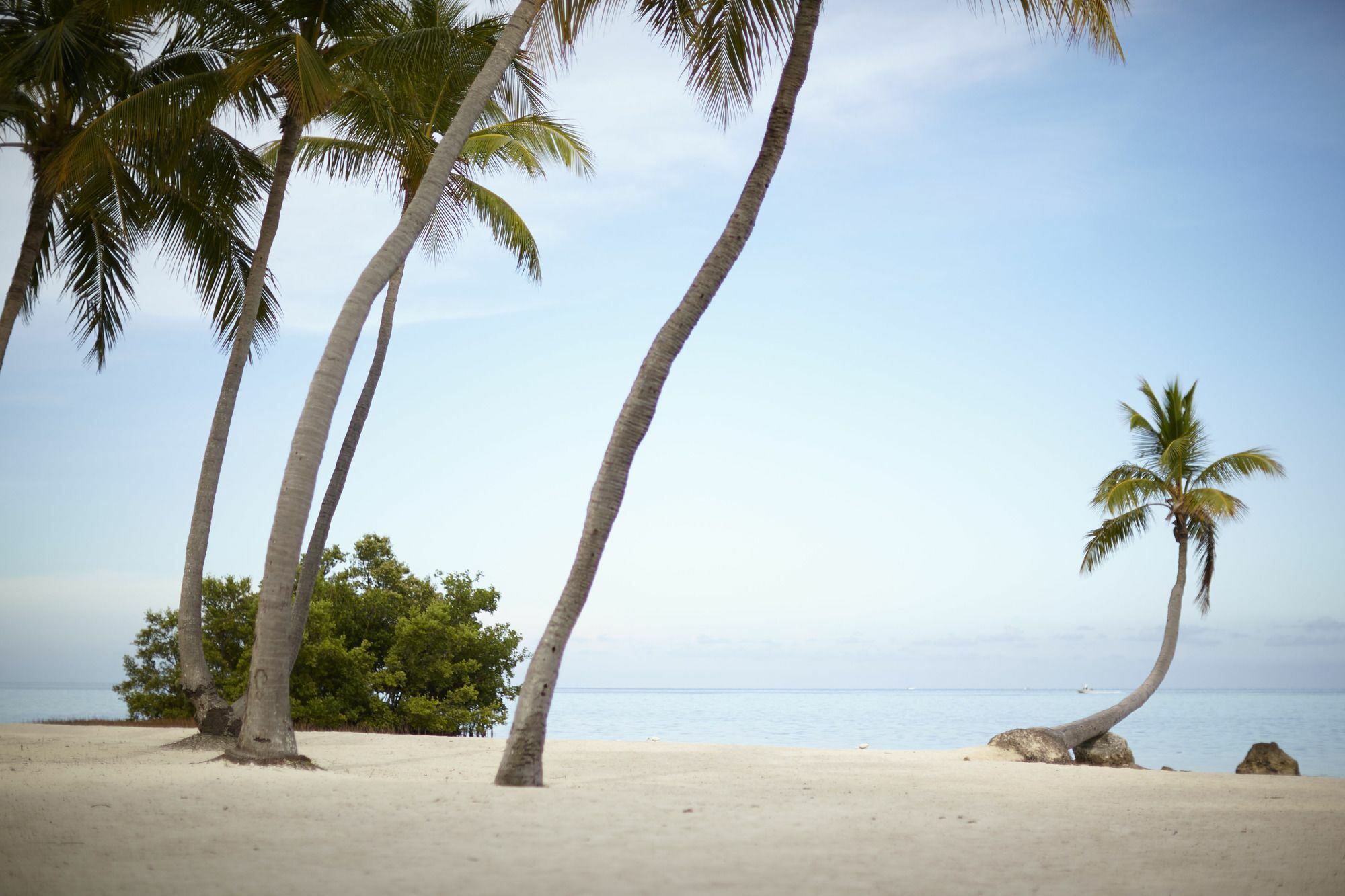 The Moorings Village Islamorada Exterior foto